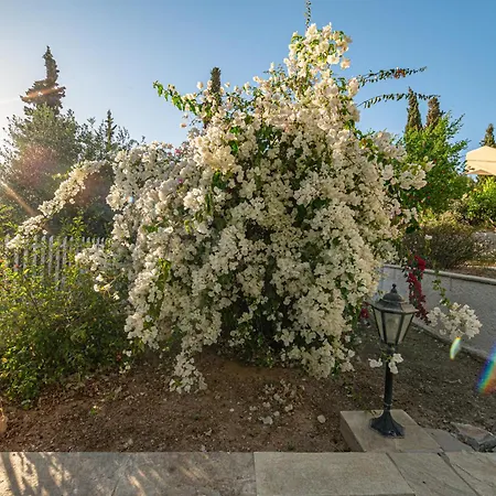 Heliotrope Traditional House * Vergaiika