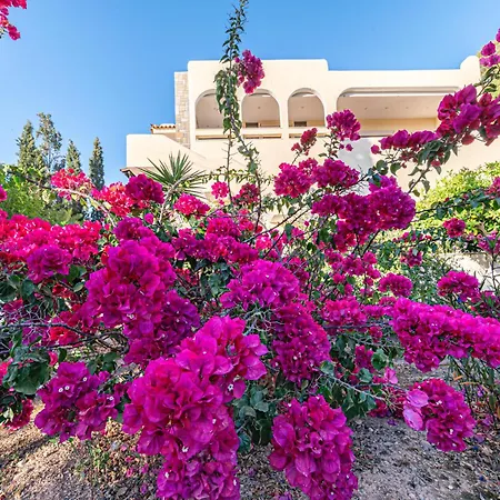 Heliotrope Traditional House Holiday home Vergaiika