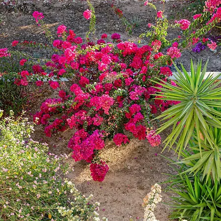 Holiday home Heliotrope Traditional House Vergaiika